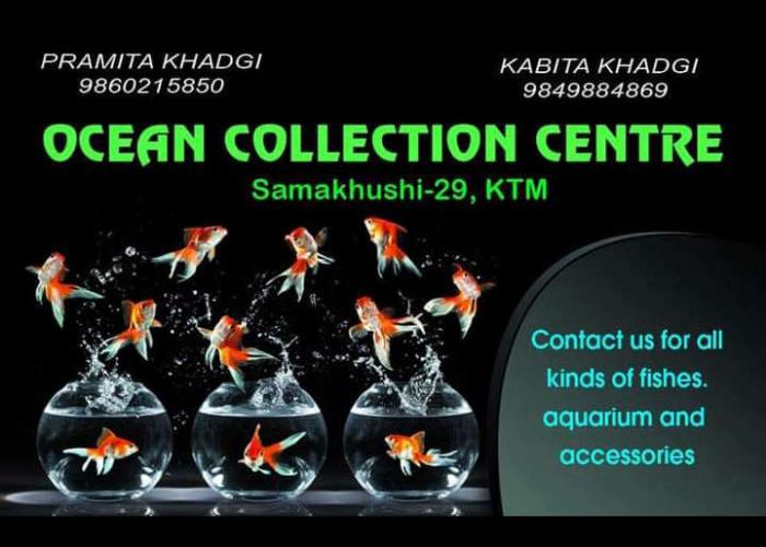 Ocean collection center